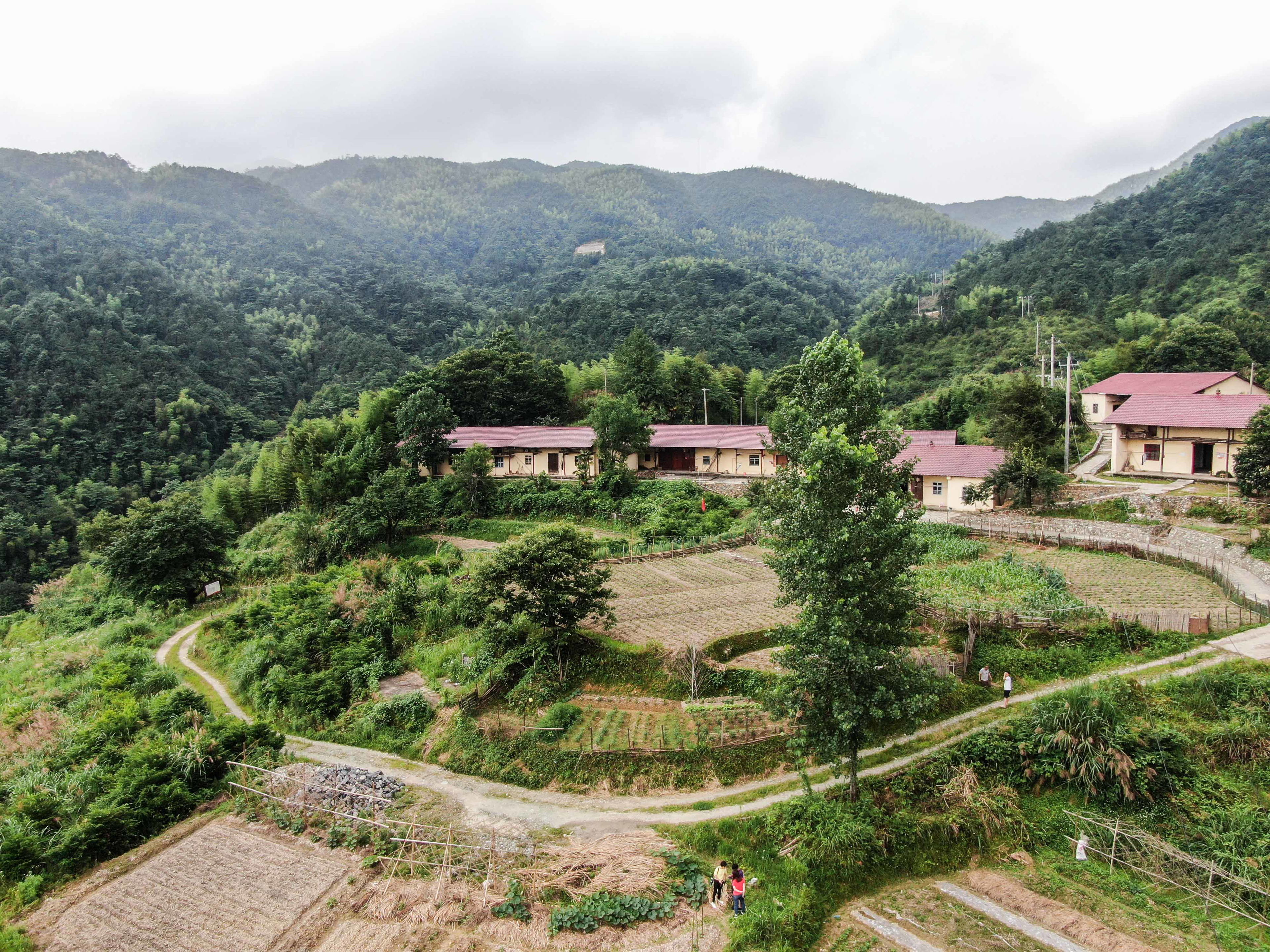 严禁城镇居民购买宅基地租赁合同期限不得超20年……鼓励盘活利用闲置宅基地这份通知