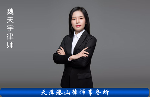 天津大型集团公司法律顾问律师事务所
