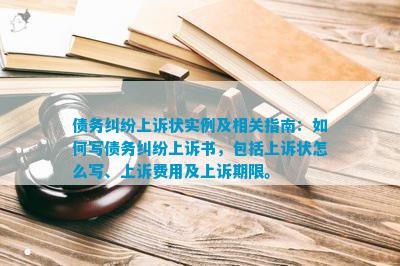 债务纠纷上诉状实例及相关指南：如何写债务纠纷上诉书包括上诉状怎么写、上诉费用及上