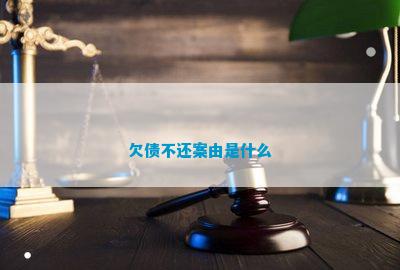 欠债不还案由是什么