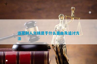 送菜别人欠钱属于什么案由及追讨方法