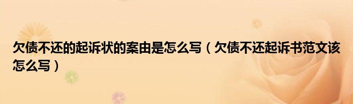 欠债不还的起诉状的案由是怎么写（欠债不还起诉书范文该怎么写）